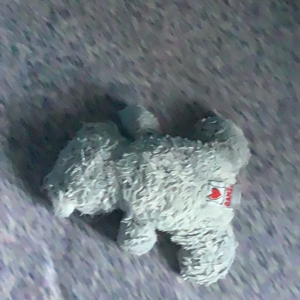 Webkinz Classic Koala